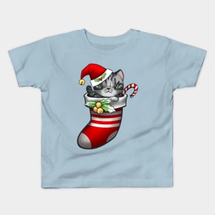 Vanilla the silver tabby cat in a stocking for Christmas Kids T-Shirt